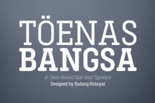 Toenas Bangsa: A Modern Slab Serif Font for Web Design